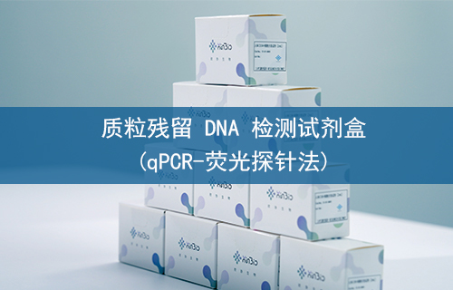 质粒残留 DNA 检测试剂盒(qPCR-荧光探针法)